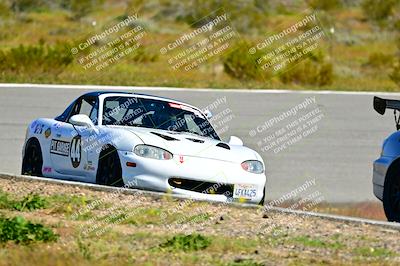 media/Apr-06-2024-Extreme Speed (Sat) [[3431b70655]]/Purple-low int/Session 1-The Bowl/